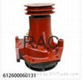 water pump for  STYLE WD615