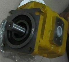 CBGJ2100 steering Gear  pump