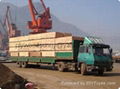 pine plywood/brich plywood