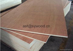 2320X7000MM BIG SIZE PLYWOOD