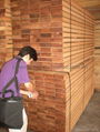 Burmese teak sawn timber