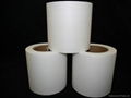 Coffee Filter Paper 254mm