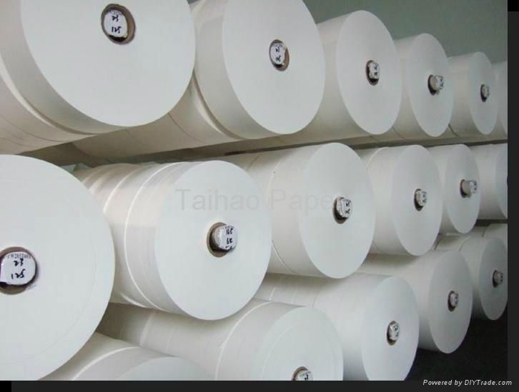 Tea Filter Paper 200mm 3