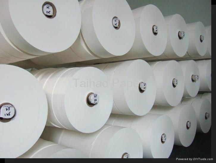 Tea Filter Paper 264mm TH1 Taihao (China Manufacturer) Packaging