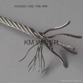 Galvanized wire Rope and Stainless steel wire Rope 1