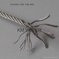 Galvanized wire Rope and Stainless steel wire Rope