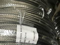 Galvanized wire Rope and Stainless steel wire Rope