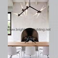 Roll and Hill Agnes Chandelier 10 Light  BM-3032P 10 5