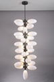  Modern Classic Grape lobby Pendant Light 7