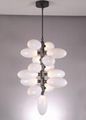  Modern Classic Grape lobby Pendant Light 6