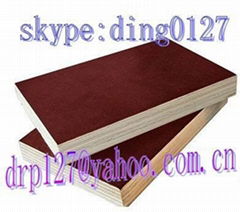 supply-film faced plywood from china