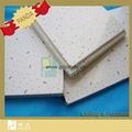 Mineral Fiber Ceiling  5