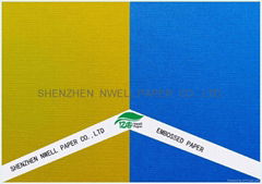 Color Embossed Paper