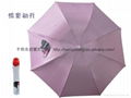 Rose design umbrella 4