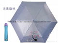 Rose design umbrella 5