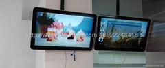 Hanging Apple LCD advertising player