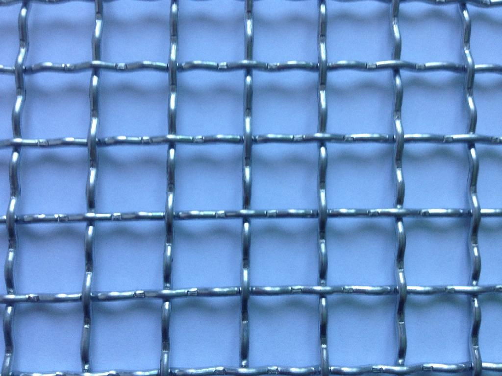 crimped wire mesh 3
