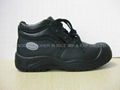 Safety Shoes 1