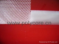 Polycarbonate honeycomb filter