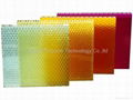 Polycarbonate honeycomb sandwich panel