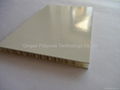 FRP honeycomb sandwich panel