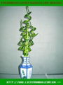 Spiral lucky bamboo