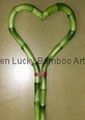 Heart lucky bamboo