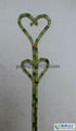 Heart shape lucky bamboo 2
