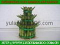 Tower lucky bamboo(Dracaena Sanderiana) 1