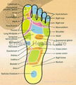 Magnetic Massage Insole 3