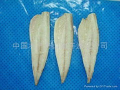 單凍鯖魚片