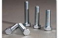 Hex bolts 1