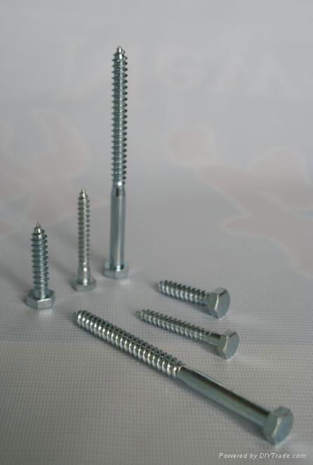 Hex lag screw