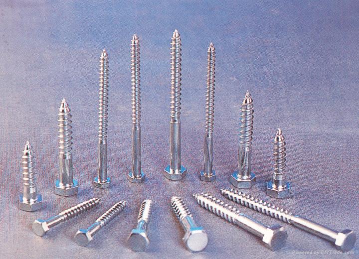 Hex lag screw 3