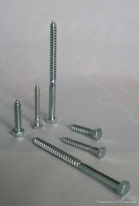 Hex lag screw 5