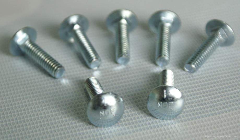 Carriage bolts 2