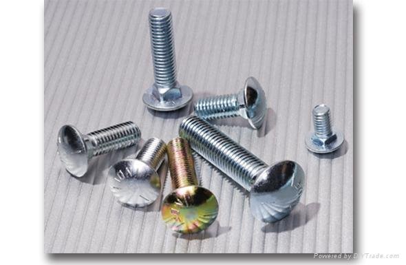 Carriage bolts 3