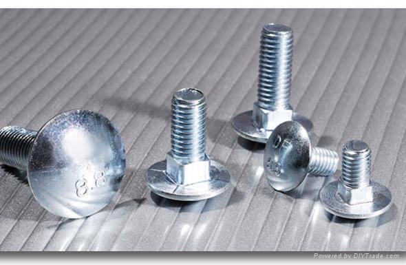 Carriage bolts 5