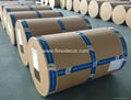 Melamine Impregnated Paper for laminates 3