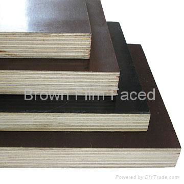 Construction Shuttering Film Faced Plywood  3