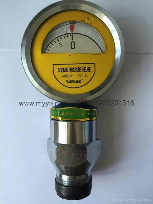 shock-resistant pressure gauge 5