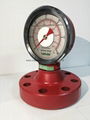 shock-resistant pressure gauge 6