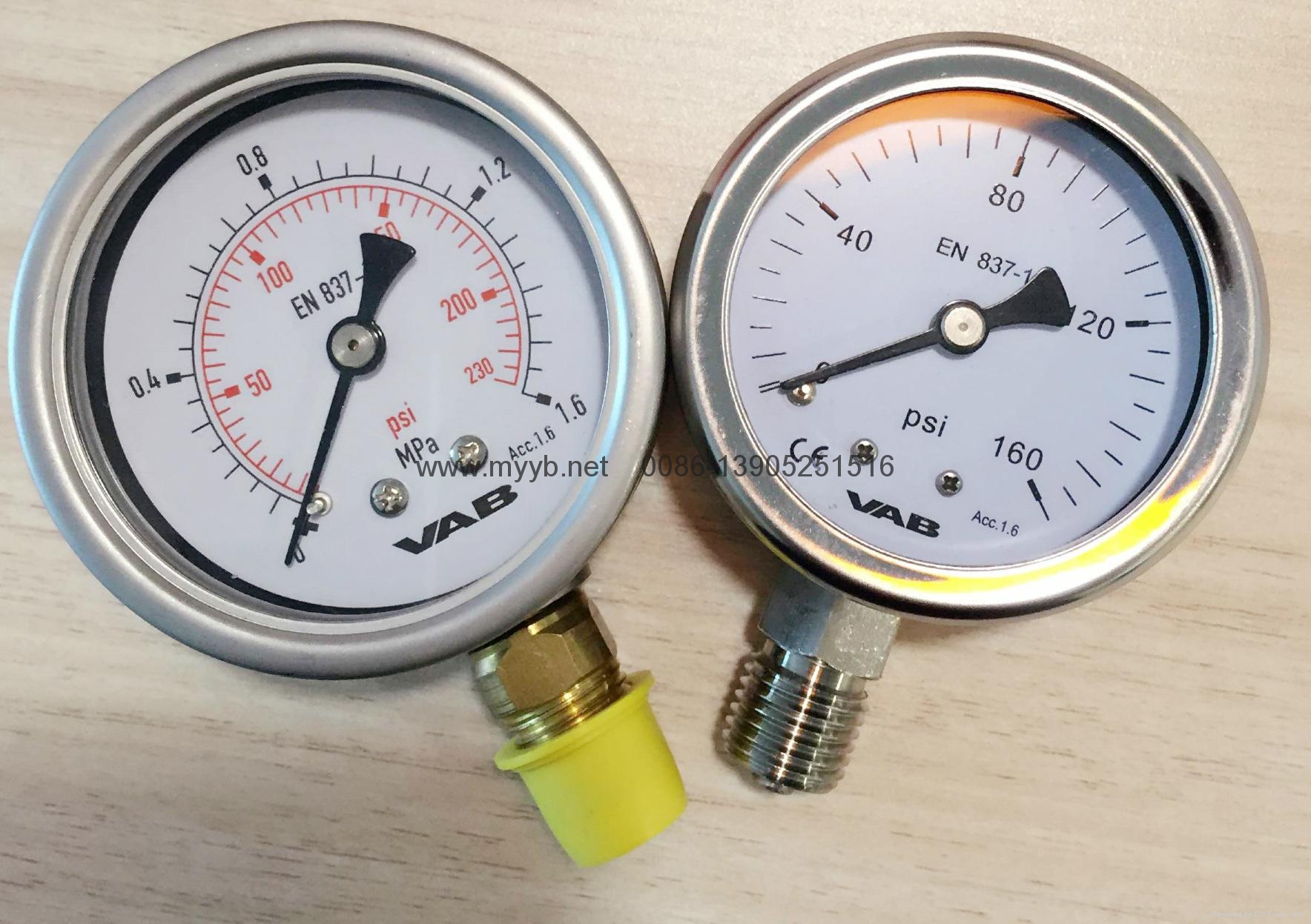 VAB全不锈钢压力表40mm至250mm有欧盟ROHS认证 2