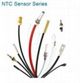 NTC Sensor 1