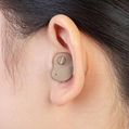  In The Ear Hearing Aids  (Cryptotype Hearing Aids)