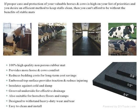 Rubber mat for livestock 4