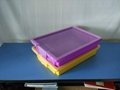 Plastic Storage and Transporting Boxes