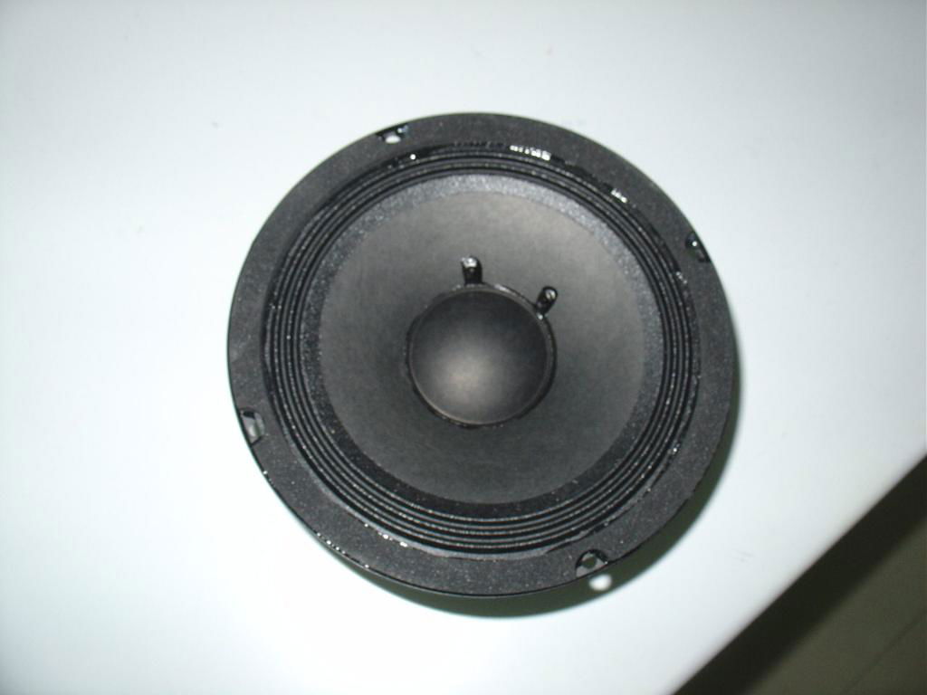 Subwoofer