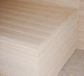 paulownia plywood