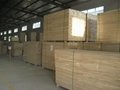 盛和木业供应优质桐木拼板厚度15-30均可定做欢迎咨询  10